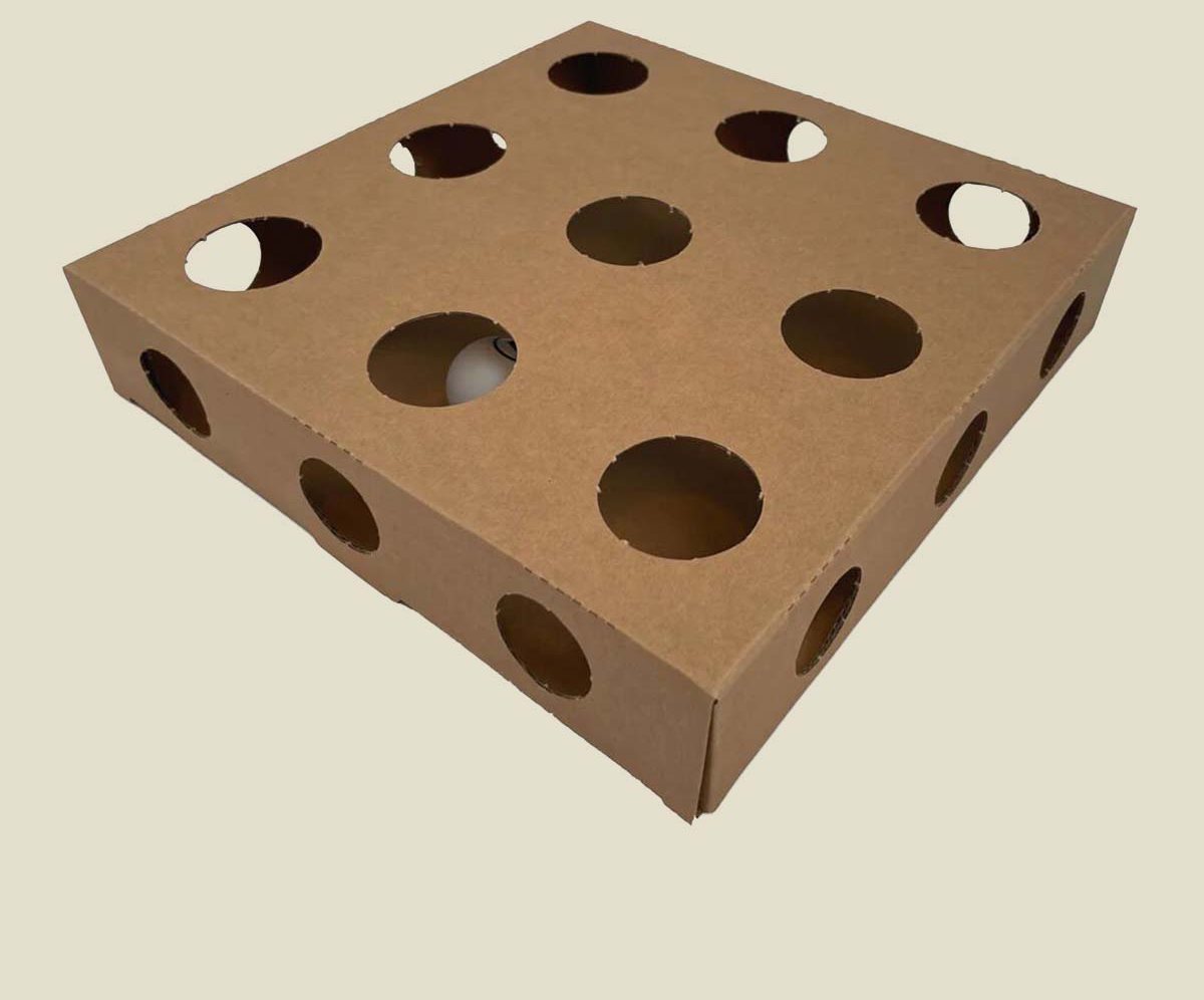 Nine-hole kraft cone tray shown empty from above